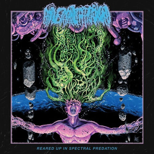 Universally Estranged - Reared Up In Spectral Predation - Music CD