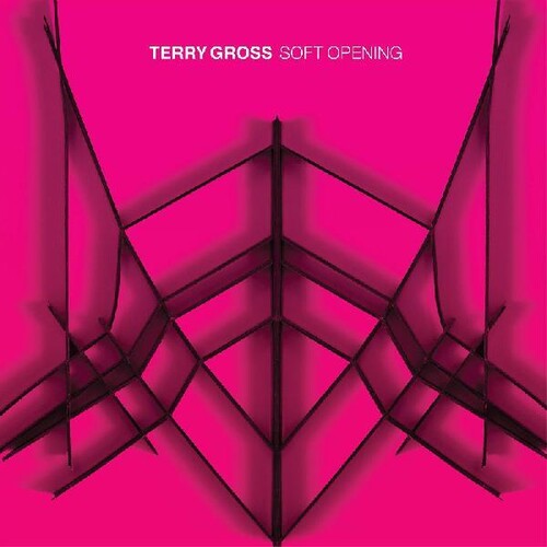 Gross,terry - Soft Opening - Vinyl Record