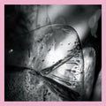 Loscil - Clara - Vinyl Record