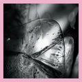 Loscil - Clara - Music CD