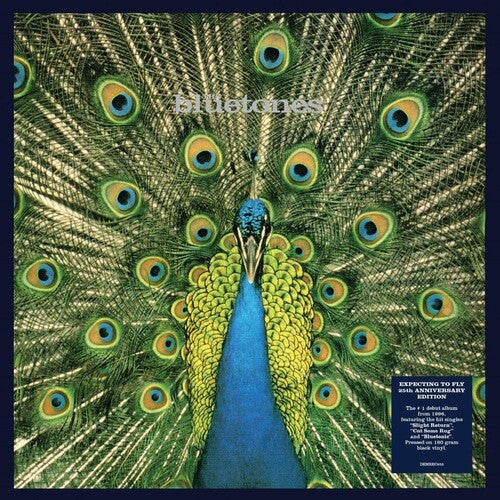 Bluetones - Expecting To Fly: 25th Anniversary - Vinyl Record
