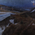 Mountain Goats - Dark In Here - Vinyl Record