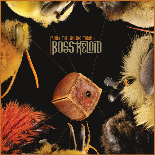 Boss Keloid - Family The Smiling Thrush - Music CD