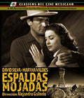Espaldas Mojadas Aka Wet Backs - Espaldas Mojadas Aka Wet Backs - Blu-ray