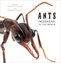 Rice,eleanor Spicer / Niga,eduard Florin - Ants - Books