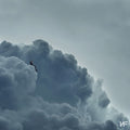Nf - Clouds (the Mixtape) - Vinyl Record