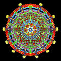Of Montreal - Hissing Fauna Are You The Destroyer? - Music CD