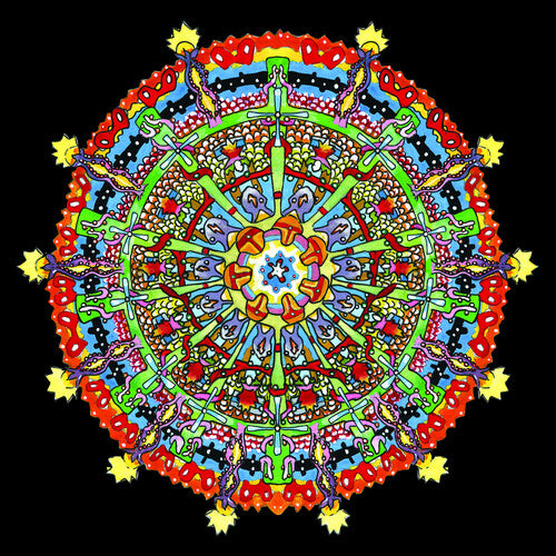 Of Montreal - Hissing Fauna Are You The Destroyer? - Music CD