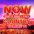 Now Country Vol 14 / Various - Now Country Vol 14 / Various - Music CD