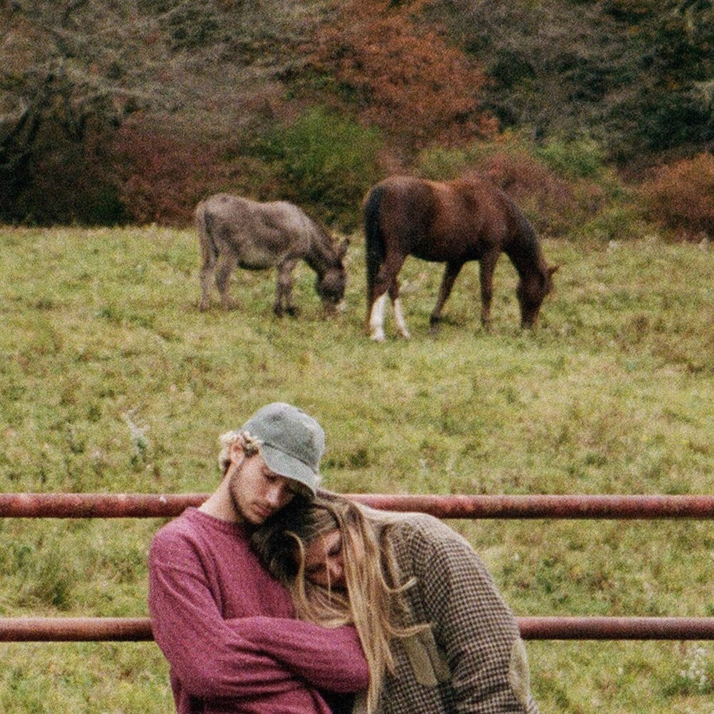 Jeremy Zucker/Chelsea Cutler - brent ii [LP]
