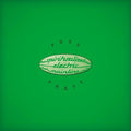 Spiritualized - Pure Phase - Vinyl Record