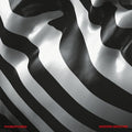 Phobophobes - Modern Medicine - Vinyl Record