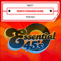 North Towards Home - Misty / For You (digital 45) - Music CD