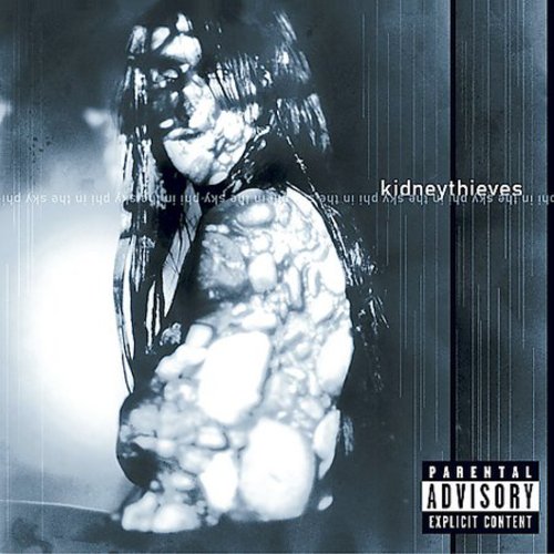 Kidneythieves - Phi In The Sky - Music CD