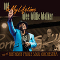Walker,wee Willie / Paule,anthony - Not In My Lifetime - Vinyl Record