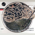 Osm Tnica Electronica / Various - Osm Tnica Electronica / Various - Music CD