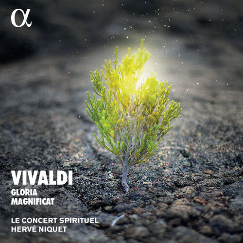 Vivaldi / Concert Spirituel / Niquet - Gloria & Magnificat - Music CD