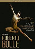 Arte Of Roberto Bolle / Various - Arte Of Roberto Bolle / Various - DVD