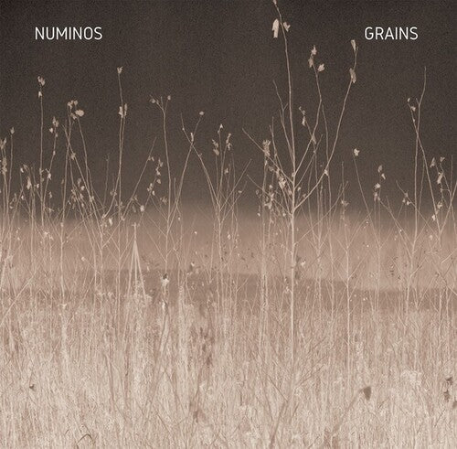 Numinos - Grains - Vinyl Record