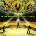 Wide Mouth Mason - Stew - Vinyl Record
