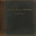 Radin,joshua - Ghost & The Wall - Vinyl Record