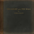The Ghost and the Wall [LP] Vinyl Record