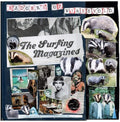 Surfing Magazines - Badgers Of Wymeswold [Red & Cream ]