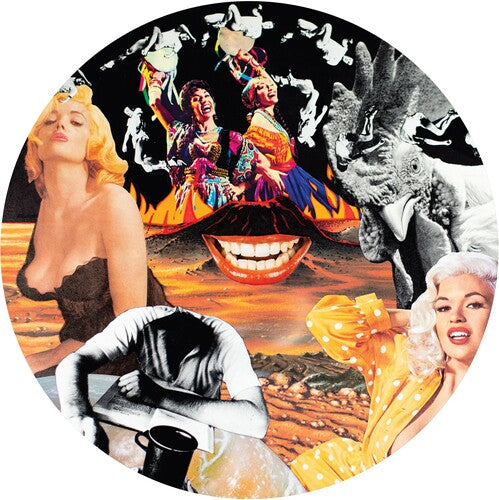 Nurse With Wound - Sylvie & Babs - Vinyl Record