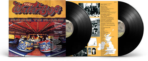 The Waterboys - Room To Roam (Half Speed Master) [2LP]