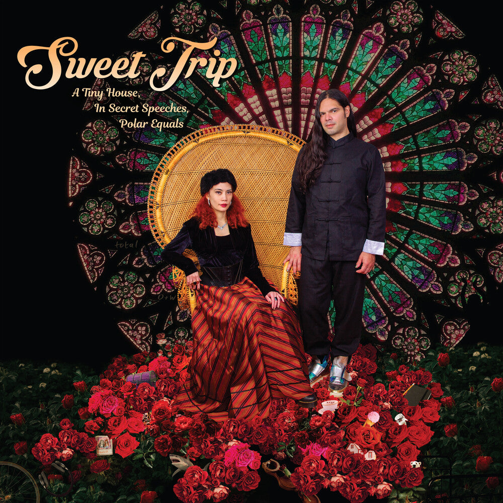 Tiny House In Secret Speeches Polar Equals-Cover B [LP] Vinyl Record