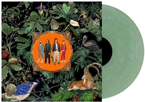Don Broco - Amazing Things - Vinyl Record