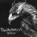 Buckcherry - Hellbound - Vinyl Record