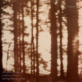 Wind Is Strong [LP] Vinyl Record