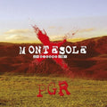 Pgr ( Per Grazia Ricevuta ) - Montesole 29 Giugno 2001 - Vinyl Record