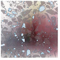 Avulsions - Expanding Program