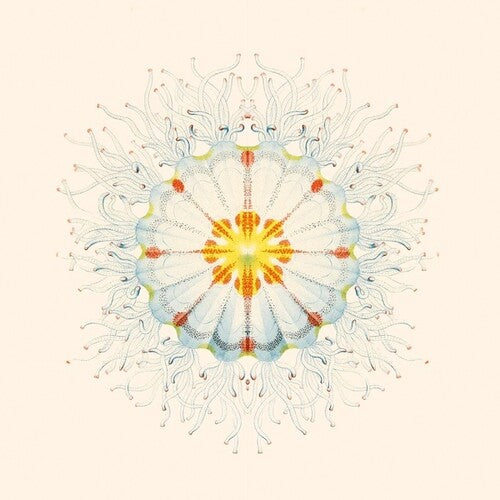 Charlie Charlie - Litte Things - Vinyl Record