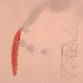 Zrl - Our Savings - Vinyl Record