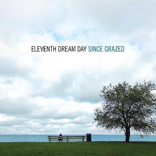 Eleventh Dream Day - Since Grazed - Vinyl Record