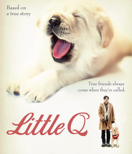Little Q - Little Q - Blu-ray