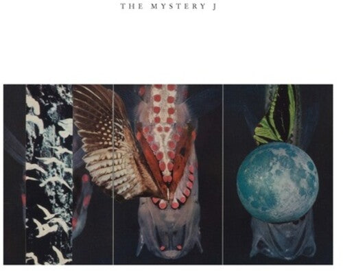 Mcphee,joe / Paulson,jen Clare / Labycz,brian - Mystery J - Vinyl Record