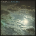 Green,peter - In The Skies - Vinyl Record