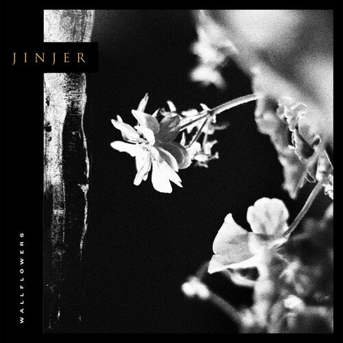Jinjer - Wallflowers - Music CD