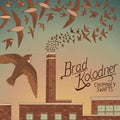 Kolodner,brad - Chimney Swifts - Music CD