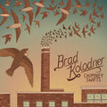 Chimney Swifts Music CD