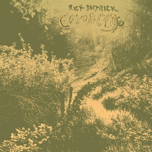 Deitrick,rick - Coyote Canyon - Vinyl Record