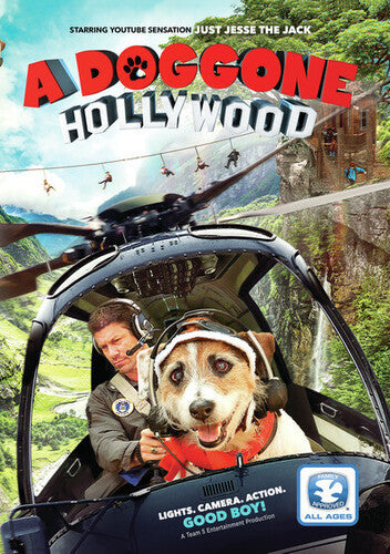 Doggone Hollywood - Doggone Hollywood - DVD