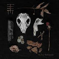 Harvest Moon - Decline To Disorder - Music CD