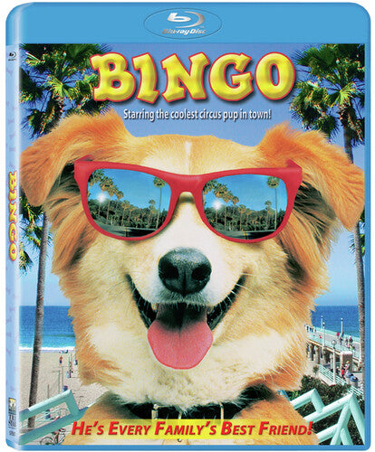Bingo - Bingo - Blu-ray