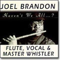 Brandon,joel - Haven't We All - Music CD