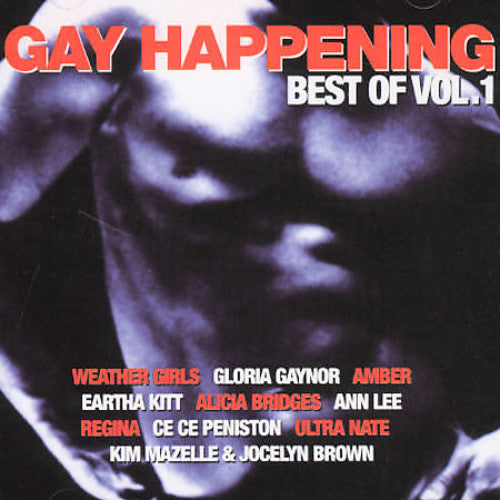 Best Of Gay Happening 1 / Various - Best Of Gay Happening 1 / Various - Music CD